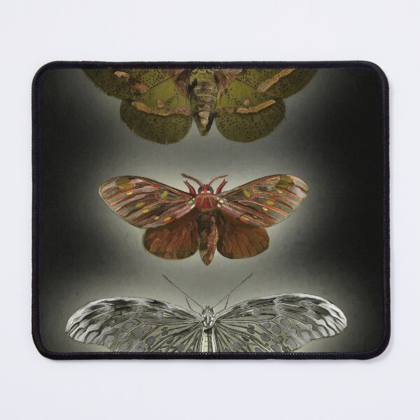 Item preview, Moths designed and sold by Brad Chambers.