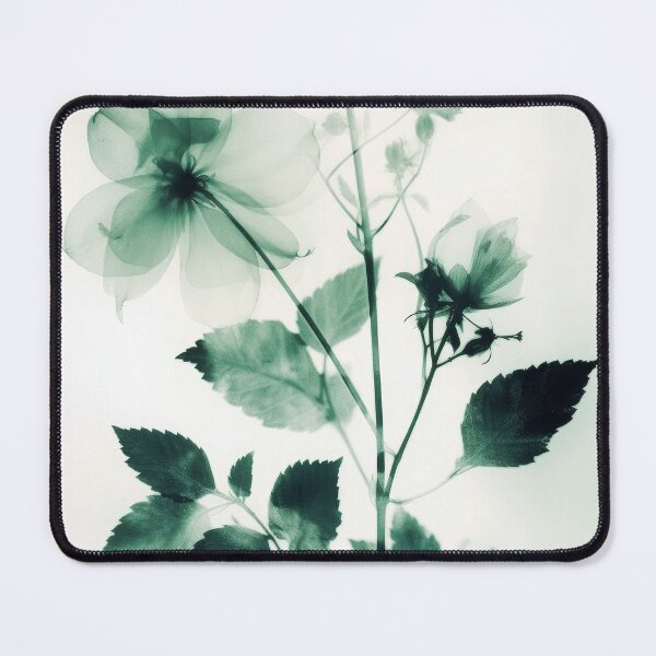 Item preview, Floral photogram colour designed and sold by EmilyDayDreams.