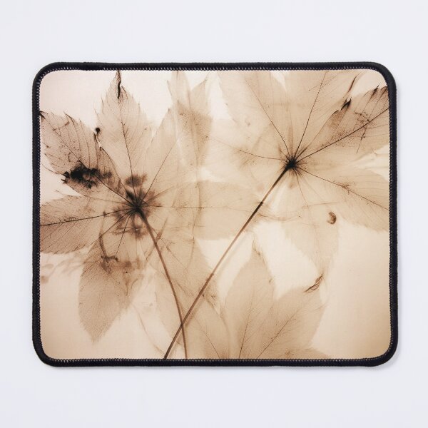 Item preview, Floral photogram colour designed and sold by EmilyDayDreams.