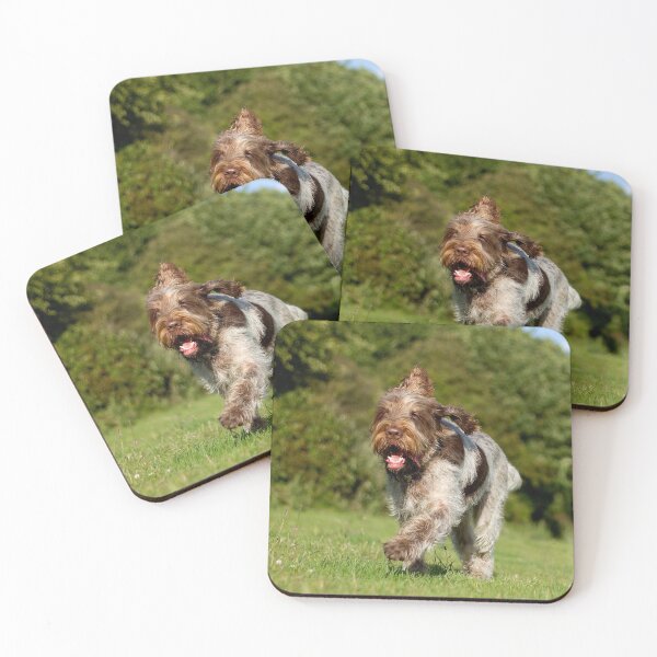 Item preview, Running in Summer Spinone by heidiannemorris designed and sold by FOLK ART FUSION by heidiannemorris.