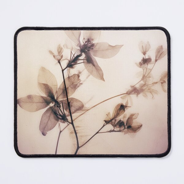 Item preview, Floral photogram colour designed and sold by EmilyDayDreams.