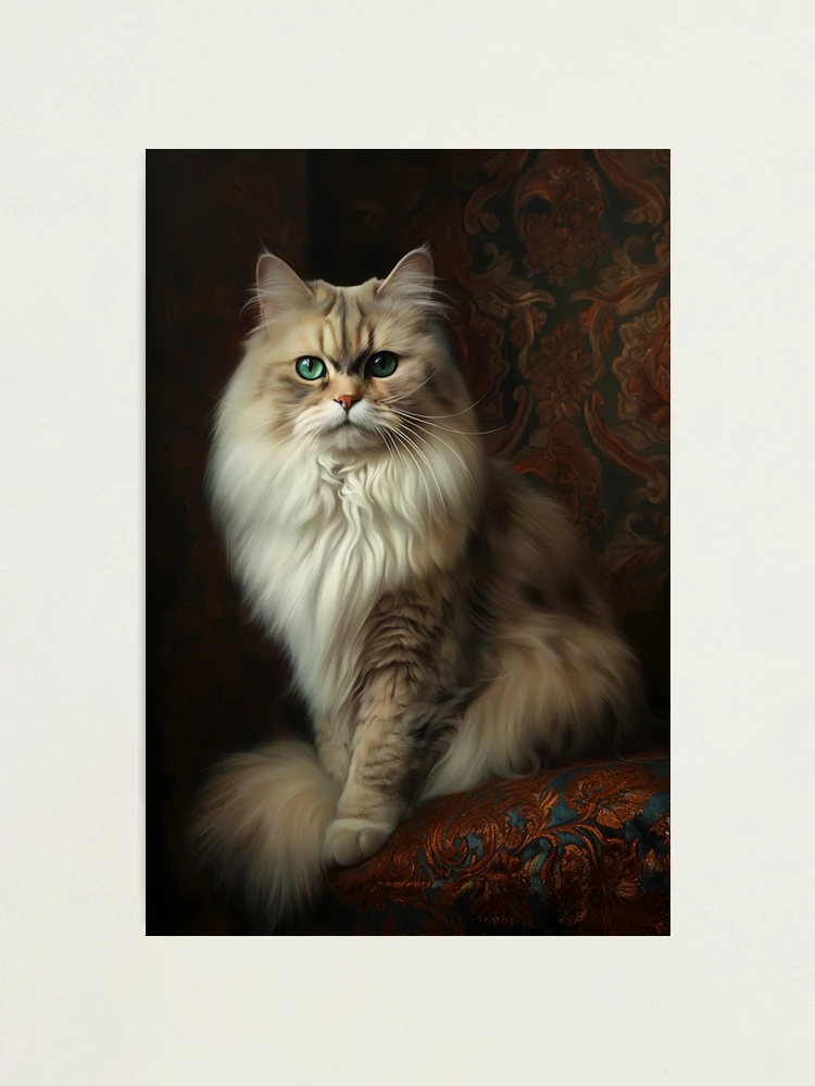 Kuhn duotone authentic print hand colored Persian cat