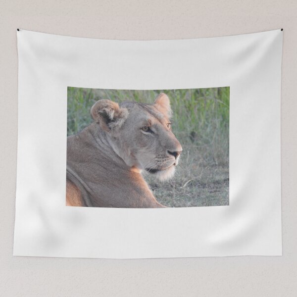 Item preview, Lioness designed and sold by Faunagraphy360.