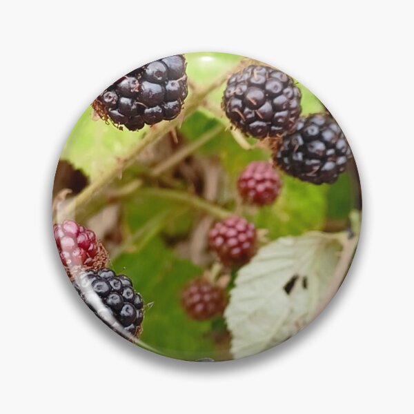 Item preview, Blackberries designed and sold by PrettyAround.