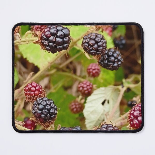 Item preview, Blackberries designed and sold by PrettyAround.