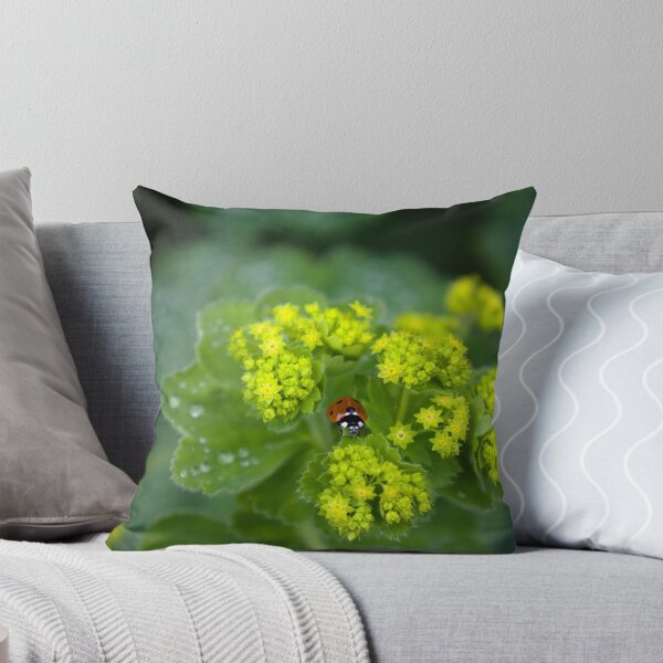 Item preview, Close-up of a ladybug on a yellow flower designed and sold by Wilma Sloot.