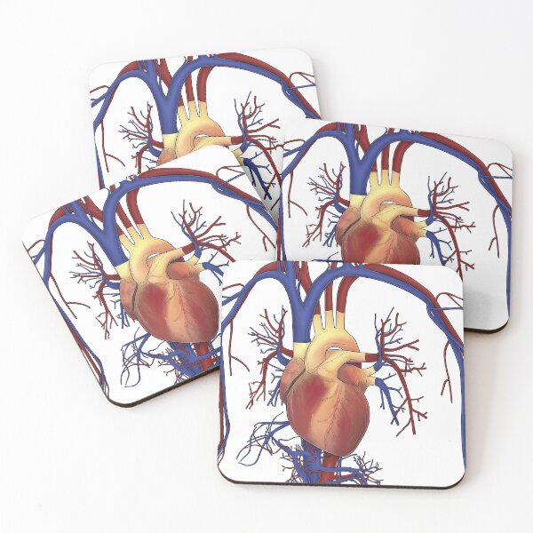 Item preview, Blood Circulation designed and sold by TIBOM.