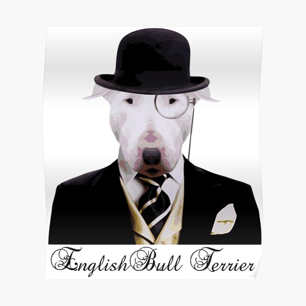 Dapper English Bully Poster