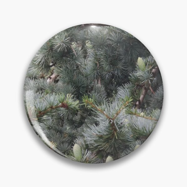 Item preview, Pine cones designed and sold by PrettyAround.