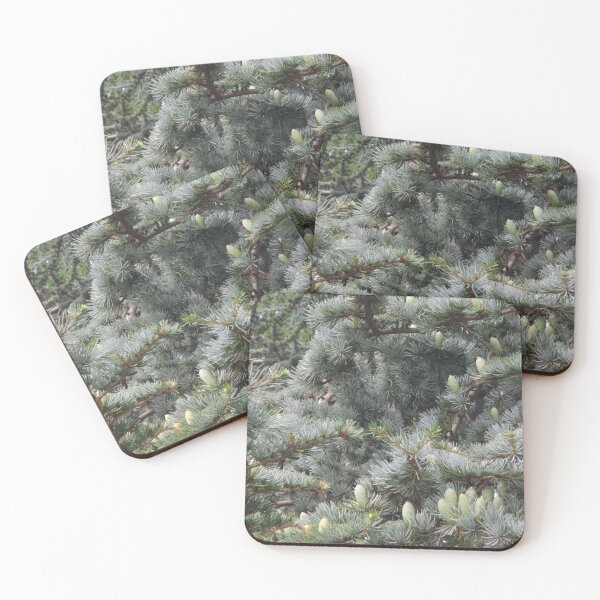 Item preview, Pine cones designed and sold by PrettyAround.