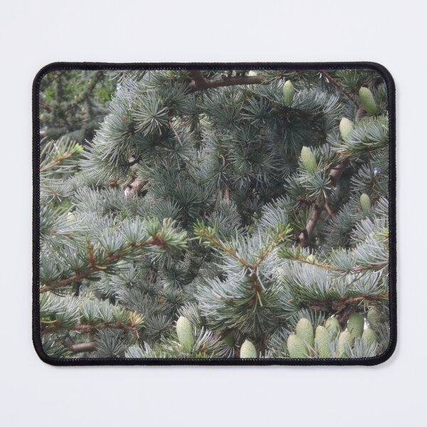 Item preview, Pine cones designed and sold by PrettyAround.