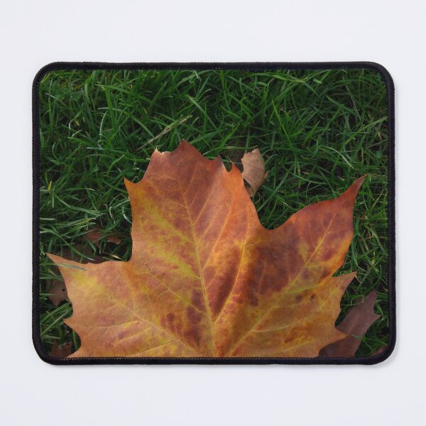 Item preview, Holding a large maple leaf designed and sold by PrettyAround.
