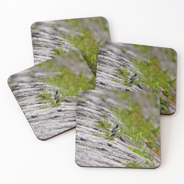 Item preview, Bird among grass on a river bank designed and sold by Shizenkai.