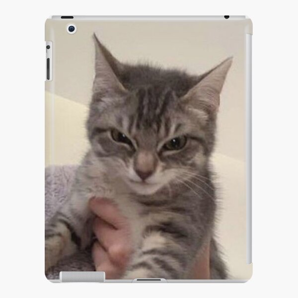 angry cat face meme iPad Case & Skin by auroragalavis