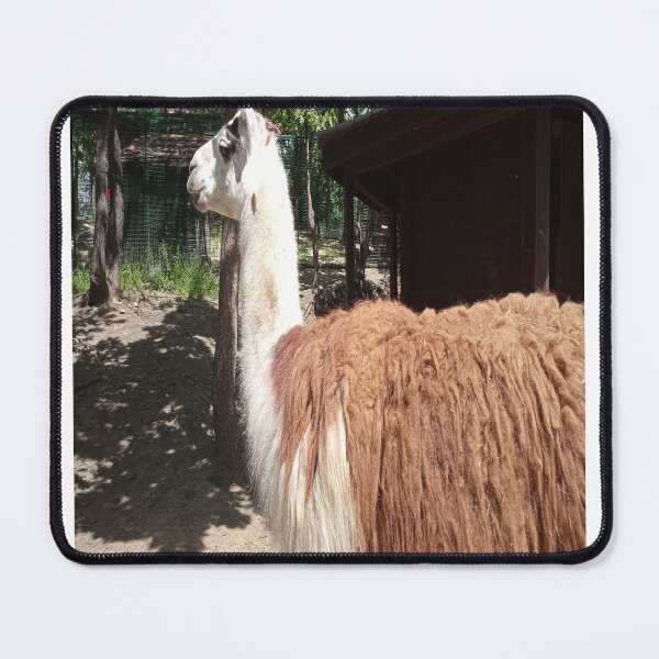 Item preview, Lama designed and sold by IVEKDESIGN.