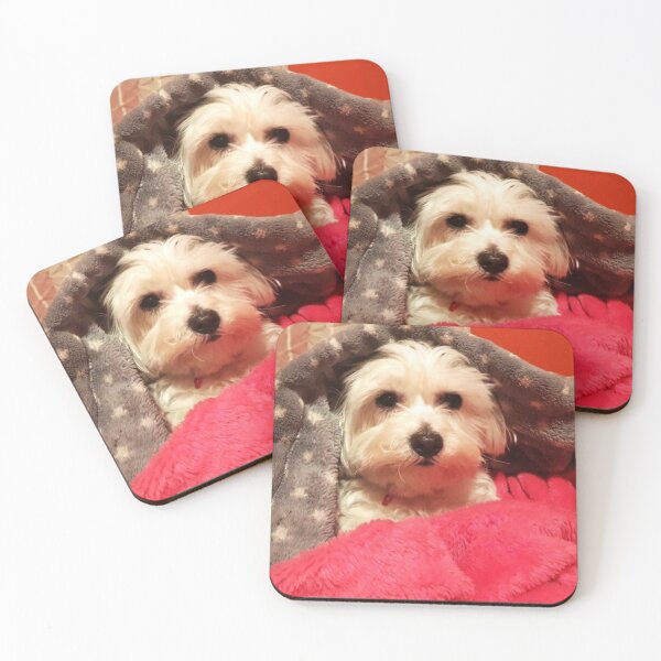 Item preview, White puppy wrapped in plush blankets designed and sold by ArtistryHQ.