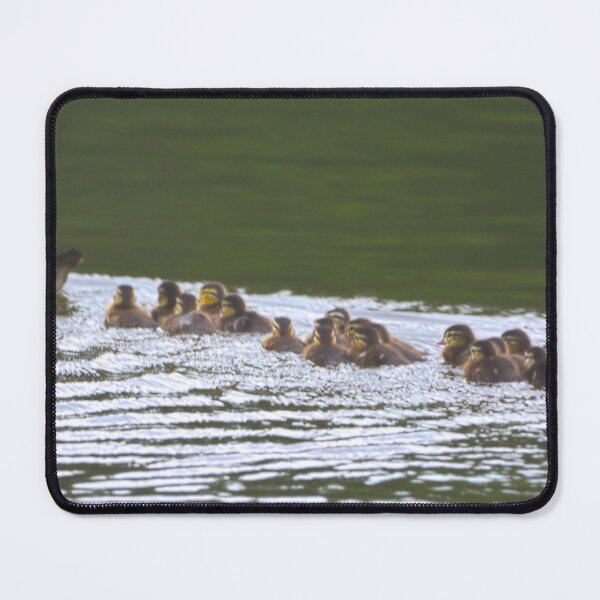 Item preview, Momma Wood Duck And Her Brood Of 22 designed and sold by LisaWootenPhoto.