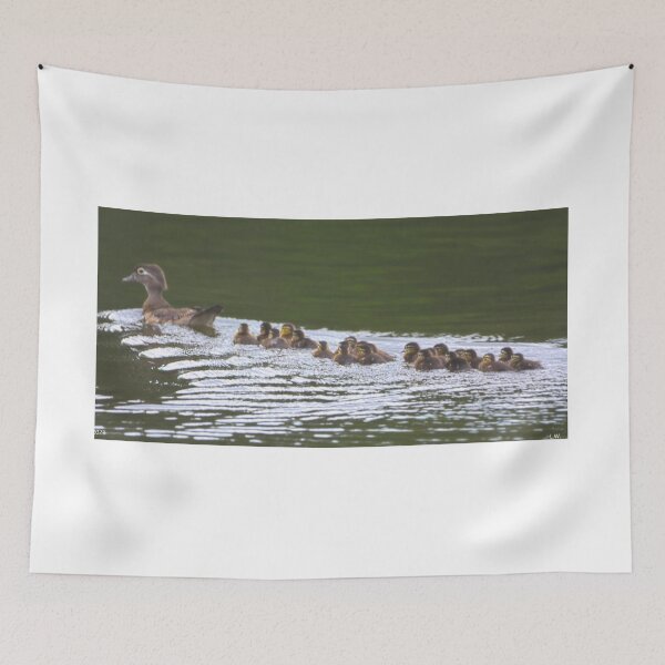 Item preview, Momma Wood Duck And Her Brood Of 22 designed and sold by LisaWootenPhoto.