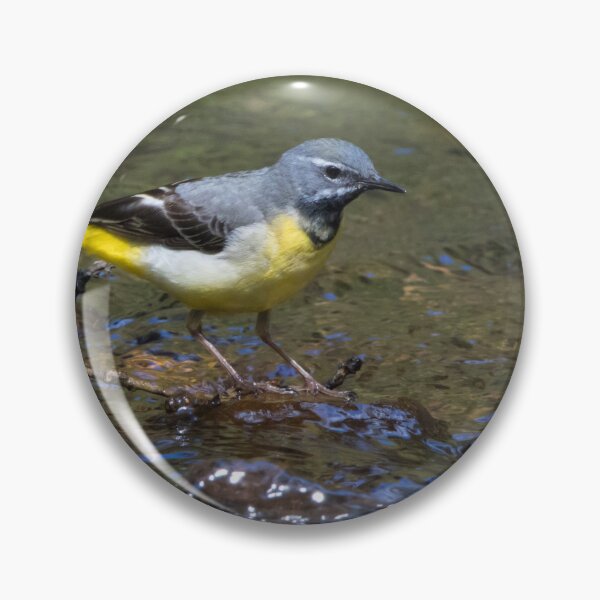 Item preview, Grey Wagtail designed and sold by LaurenTucker.