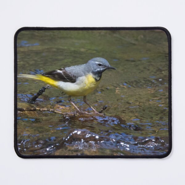 Item preview, Grey Wagtail designed and sold by LaurenTucker.
