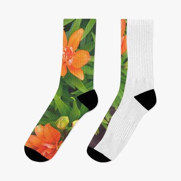 Item preview, Lovely Lilies designed and sold by LisaWootenPhoto.