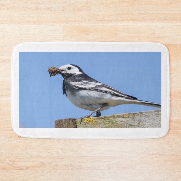 Item preview, Pied Wagtail designed and sold by LaurenTucker.