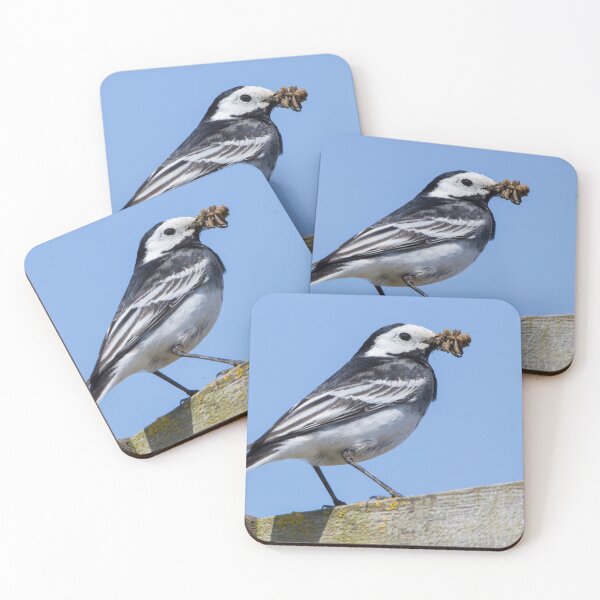Item preview, Pied Wagtail designed and sold by LaurenTucker.