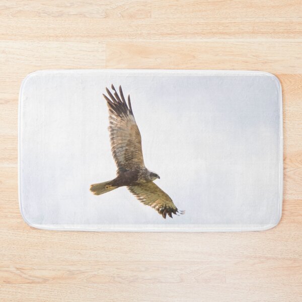 Item preview, Marsh Harrier designed and sold by LaurenTucker.