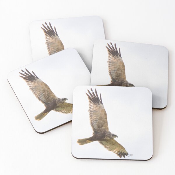 Item preview, Marsh Harrier designed and sold by LaurenTucker.