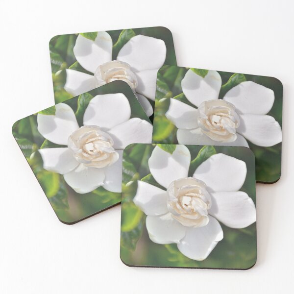 Item preview, Gardenia Bloom designed and sold by LisaWootenPhoto.