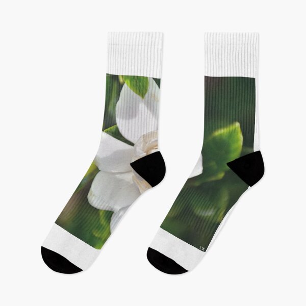 Item preview, Gardenia Bloom designed and sold by LisaWootenPhoto.