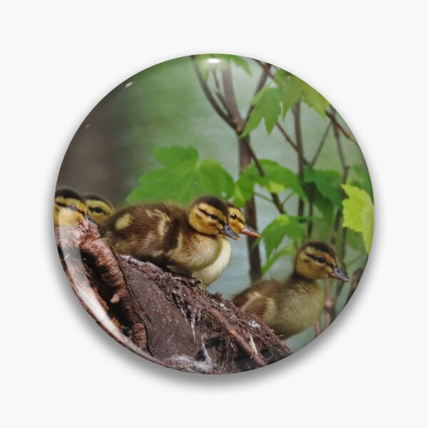 Item preview, Here We Go designed and sold by Deb Oppermann.