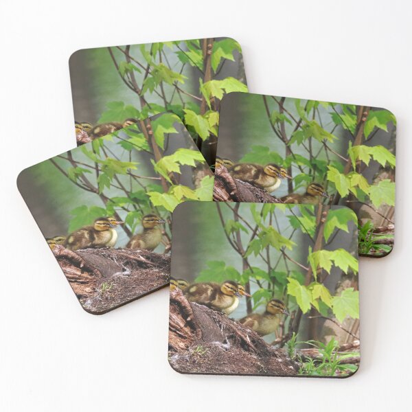 Item preview, Here We Go designed and sold by Deb Oppermann.