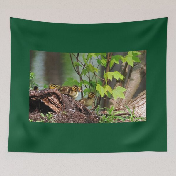 Item preview, Here We Go designed and sold by Deb Oppermann.