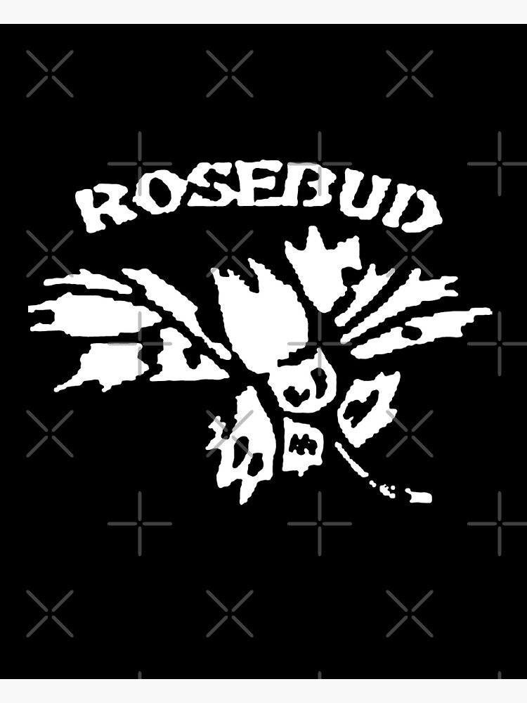 What Is Rosebud In Citizen Kane?