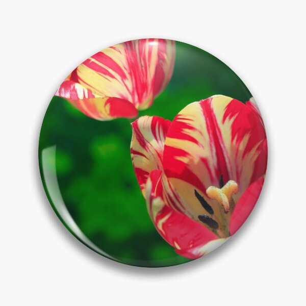 Item preview, Two striped tulips on green background designed and sold by olena2552.