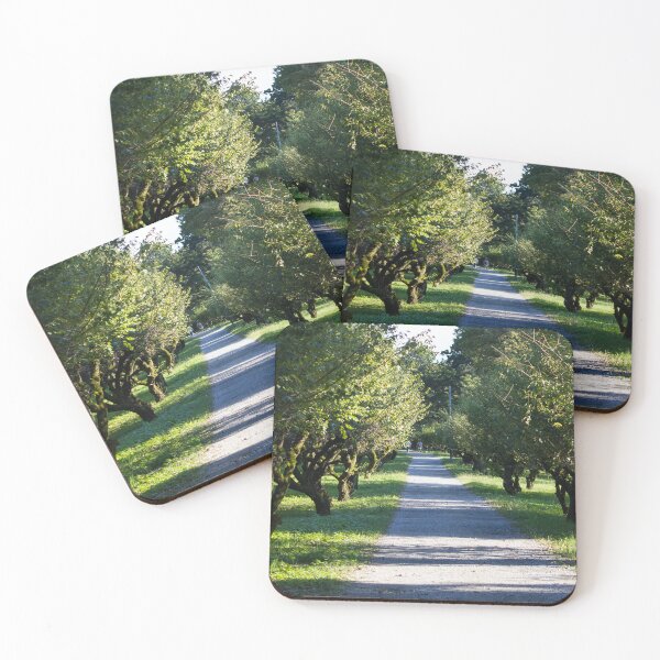 Item preview, Tree lined path in a park designed and sold by Shizenkai.