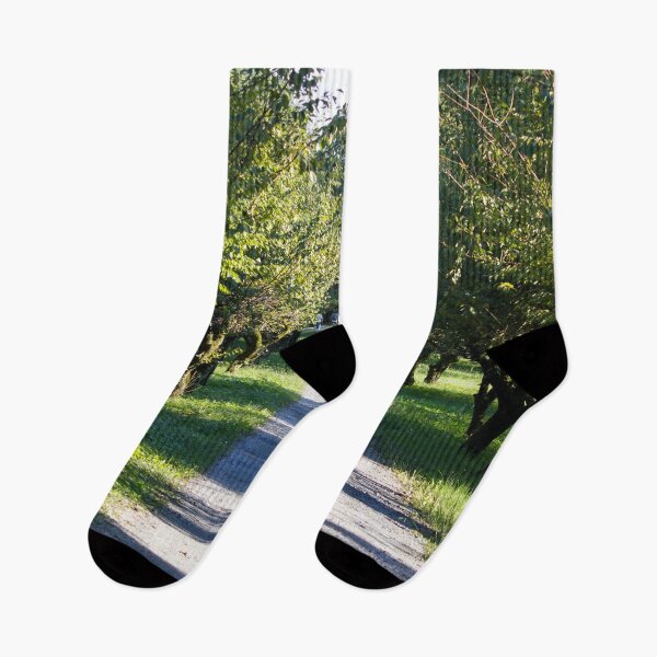 Item preview, Tree lined path in a park designed and sold by Shizenkai.