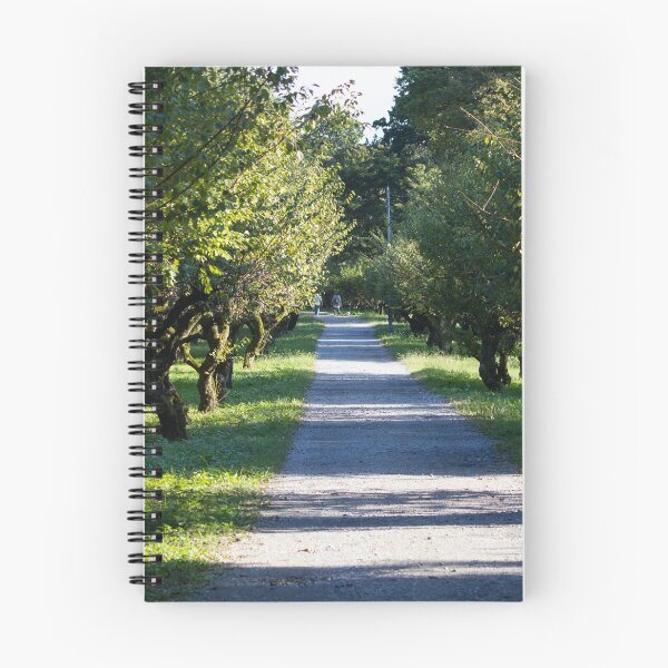 Item preview, Tree lined path in a park designed and sold by Shizenkai.