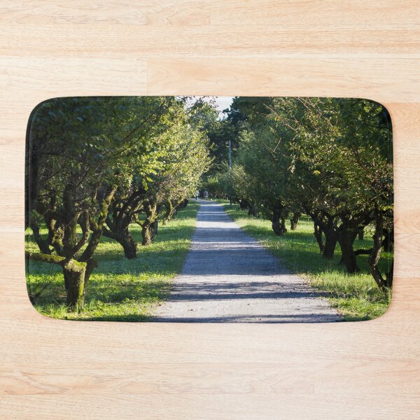 Item preview, Tree lined path in a park designed and sold by Shizenkai.