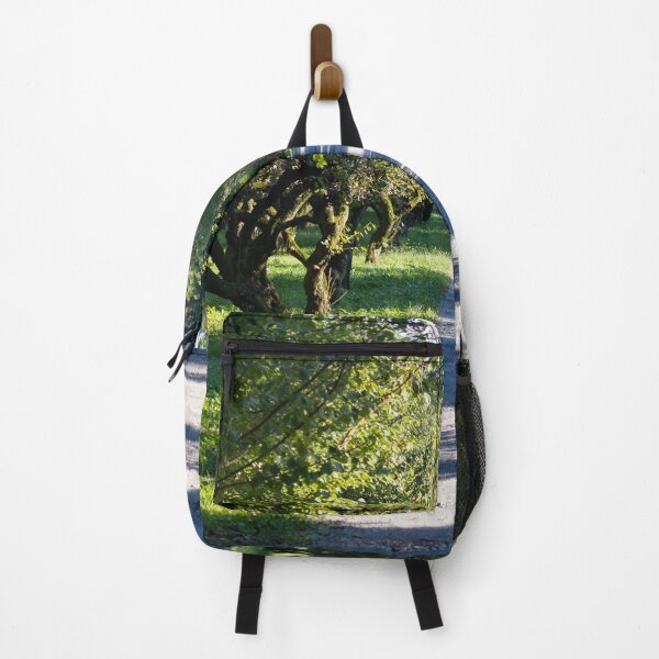 Item preview, Tree lined path in a park designed and sold by Shizenkai.