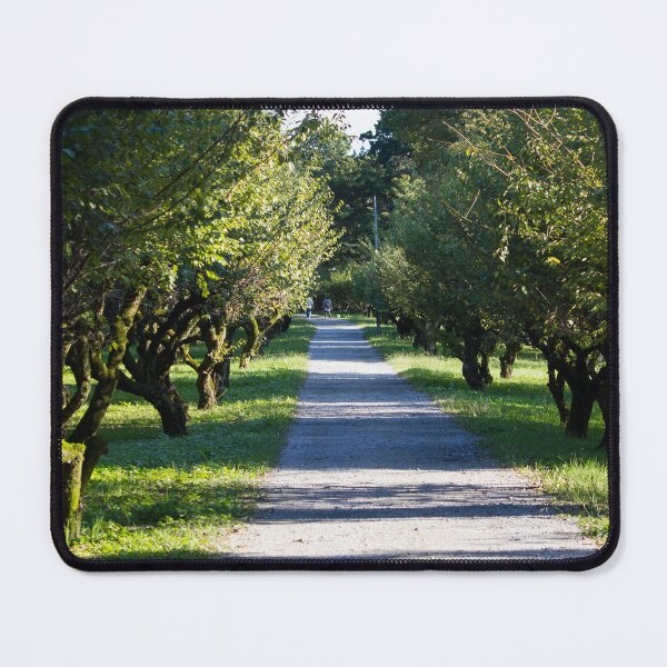 Item preview, Tree lined path in a park designed and sold by Shizenkai.