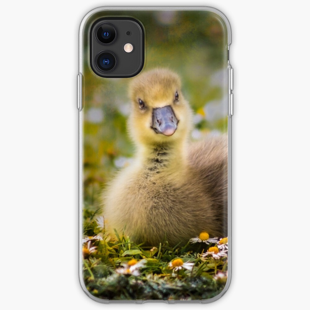 the quizzical gosling iPhone Case & Cover