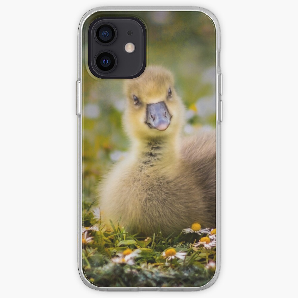 the quizzical gosling iPhone Case & Cover