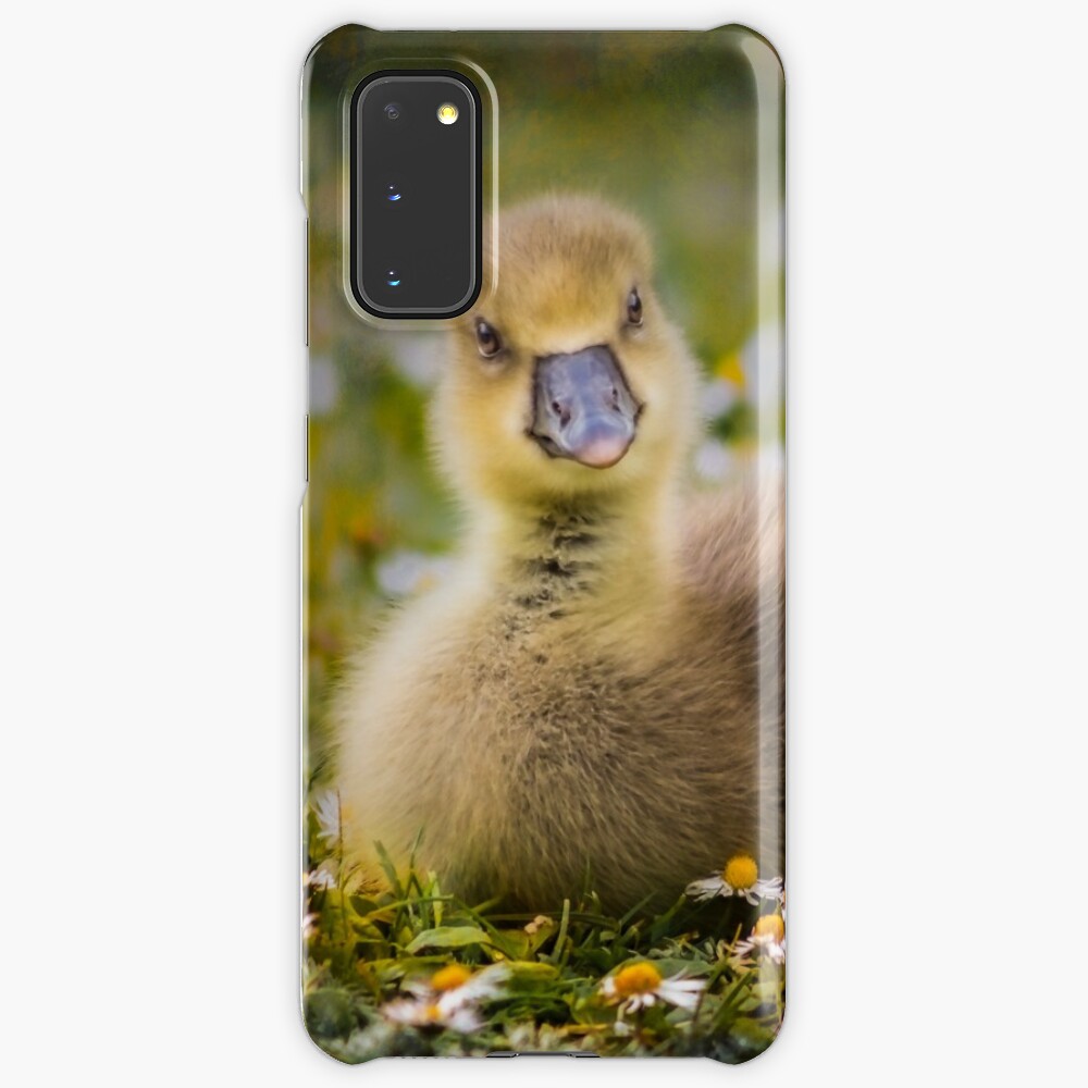 the quizzical gosling Case & Skin for Samsung Galaxy