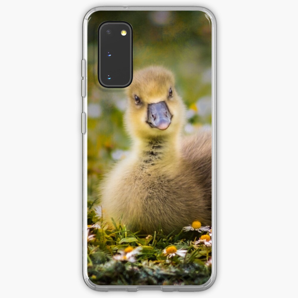 the quizzical gosling Case & Skin for Samsung Galaxy