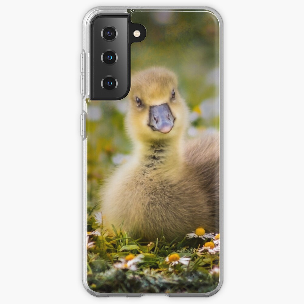 the quizzical gosling Case & Skin for Samsung Galaxy