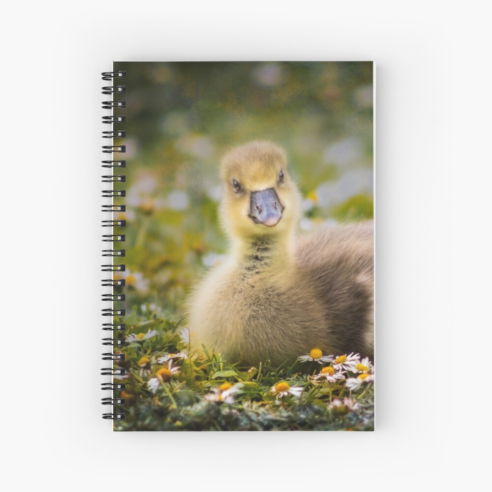 the quizzical gosling Spiral Notebook