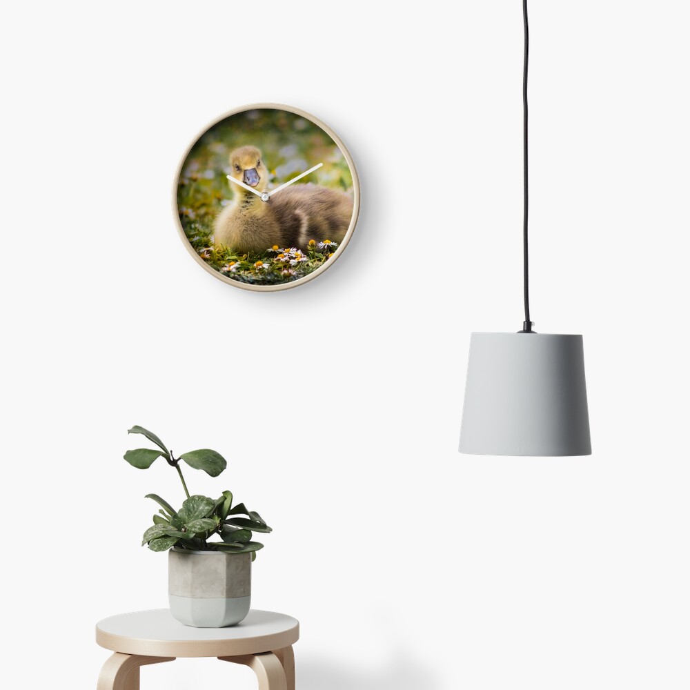 the quizzical gosling Clock