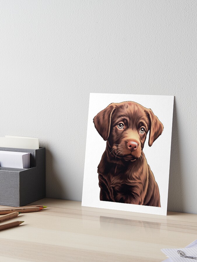 Pop! Pets - Labrador Retriever Chocolate